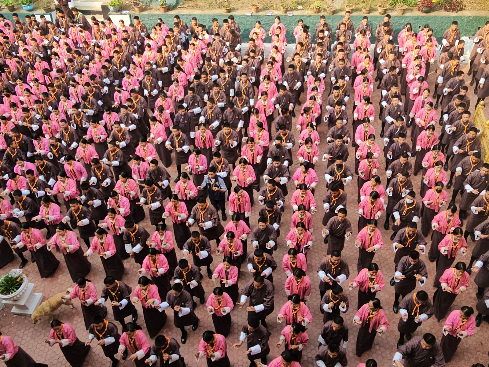 Stds Dancing School Theme Song